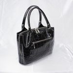 BAG5395N