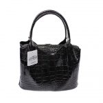 BAG5395N